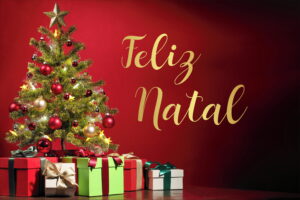 Leia mais sobre o artigo FELIZ NATAL E UM 2015 DE SUCESSO!